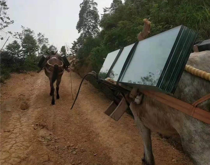 含山县马帮运输工程队